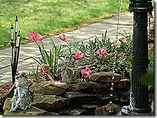 PumpBed_Spring