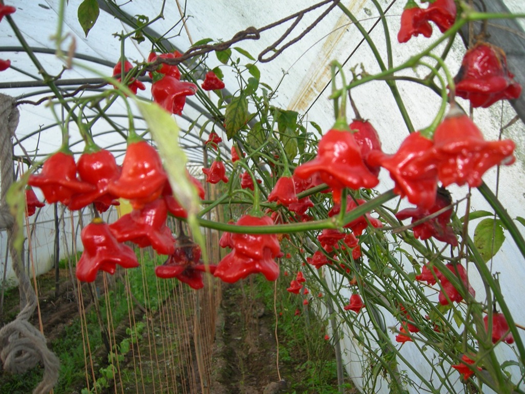 [DSCN6470%255B1%255D%255B3%255D.jpg]