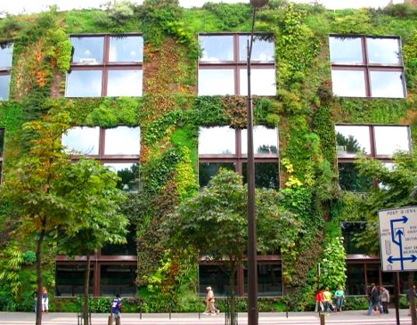 Patrick Blanc’s most famous living wall at the Quai Branley Museum in Paris.