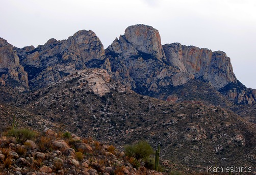 1. Catalina Mtns-kab