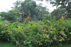 DSC_0941.JPG