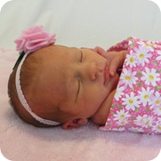 Liberty's Newborn Portraits square crop