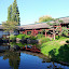 Jardin japonais