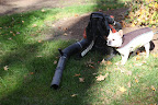 Look what I found, a leaf blower.  What do you say I have a go with it?