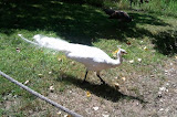 2011-08-28 14.26.38.jpg
