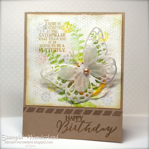 B D card 2015 04 0811.jpg B D card 2015 04 0811