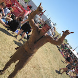 IMG_0113.JPG