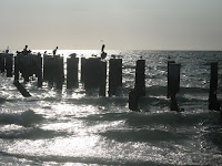 IMG_4638.jpg