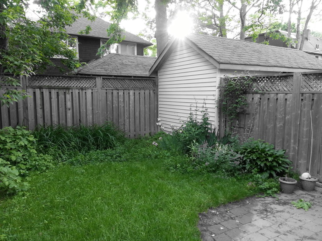 [20130603_192433%255B5%255D.jpg]