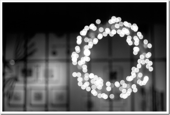 DSC_0677-1 copy