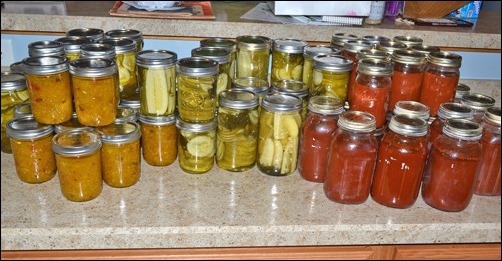 one day of canning
