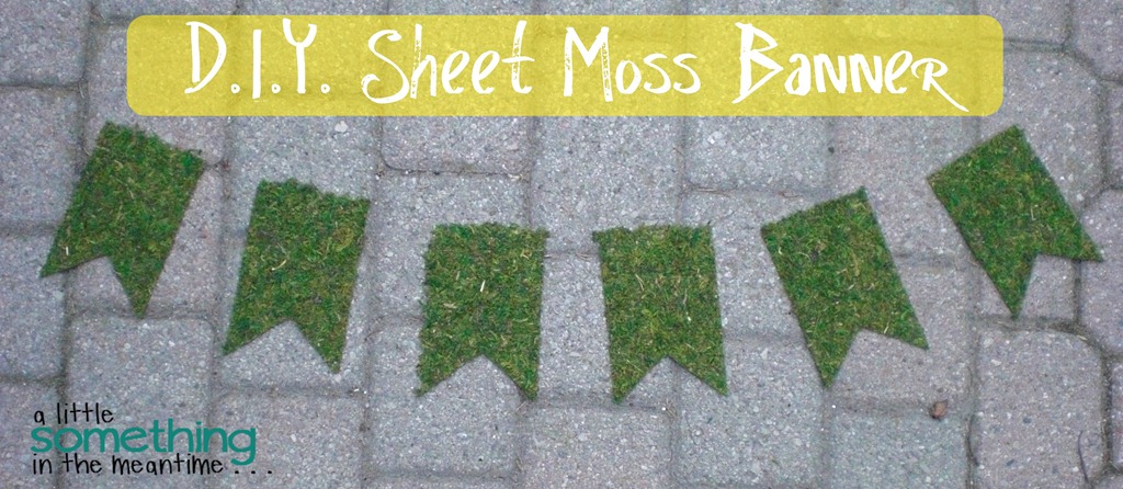 [Sheet%2520Moss%2520Banner%2520WM%255B6%255D.jpg]