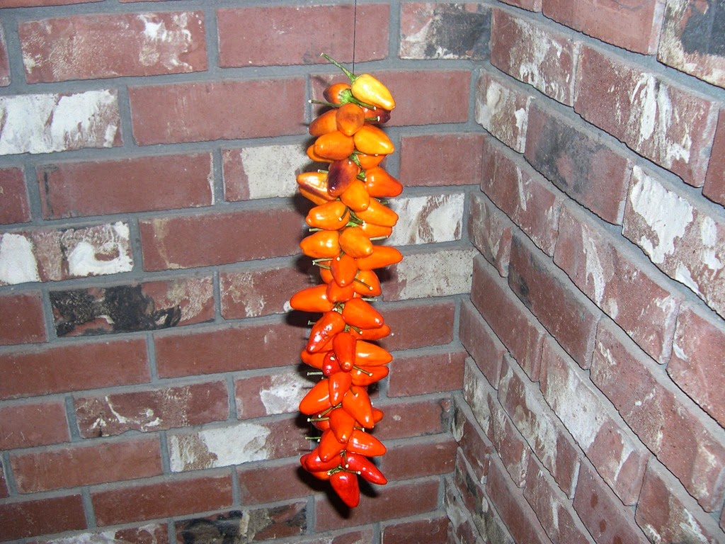 [Chinese-5-color-peppers3.jpg]