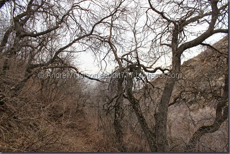 IMG_2436 IMG_2436