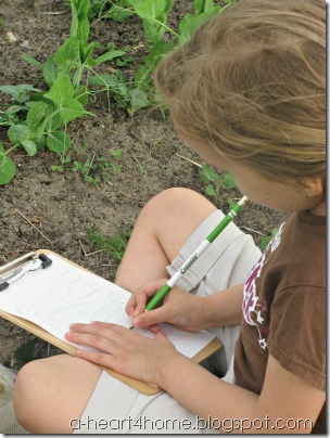 garden sketching garden sketching