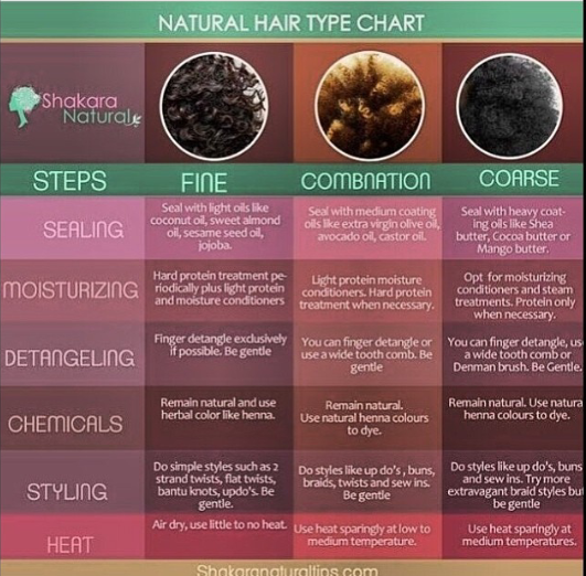Hair Types Chart Natural Hair