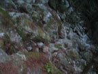 IMG_4868_512.JPG