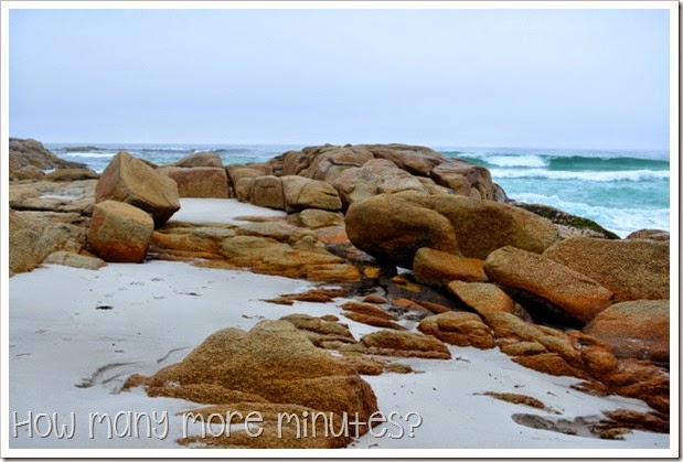 How Many More Minutes? ~ Bay of Fires, Tasmania: part two!
