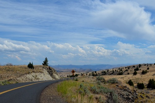 the road to Clarno and Fossil