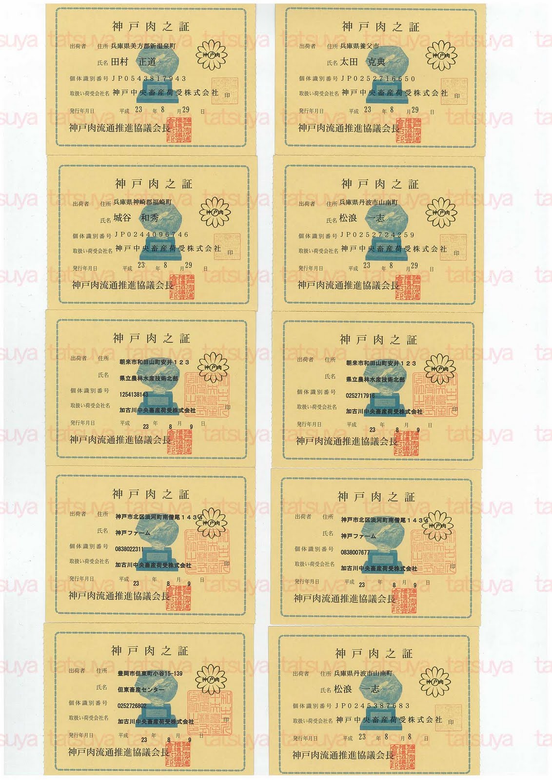 [LOT-11090601-%25231.jpg]