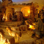 1559-5.jpg 1559-5.jpg