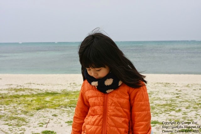 IMG_3266 IMG_3266