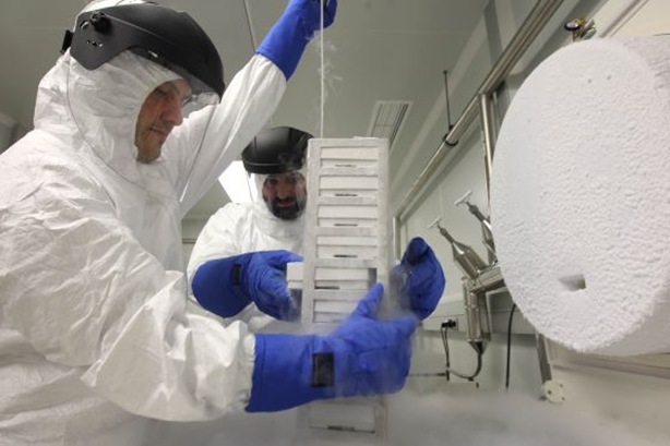 investigacion tumores investigacion tumores