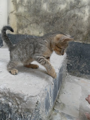 Pixel