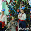 DSCN7945.JPG
