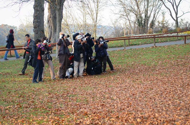 [Rothenburg19%255B3%255D.jpg]