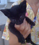 SOOTZ
AGO-2011