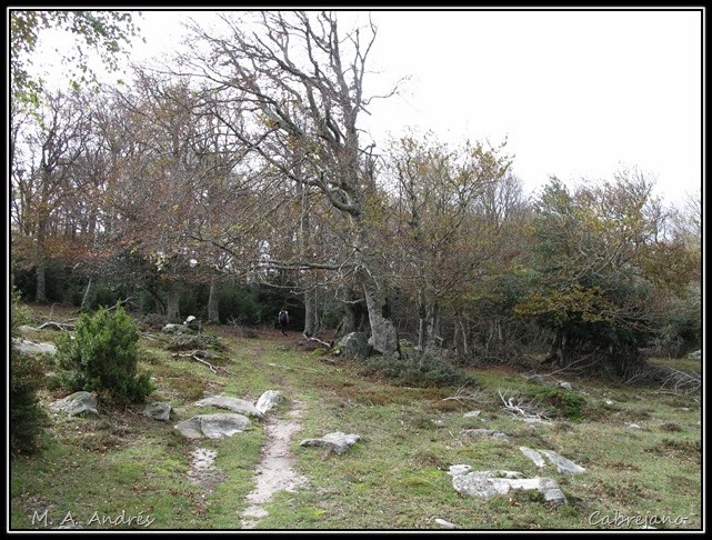 Arangoiti-Castellar 049 Arangoiti-Castellar 049