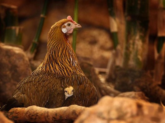 [426510_544186905603054_1264974021_n%255B3%255D.jpg]