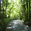 Country road