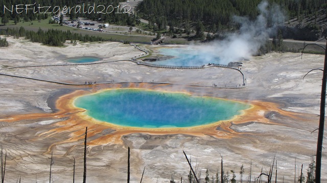[GrandPrismatic_%2520Excelsior_%2520Turquoise%255B9%255D.jpg]
