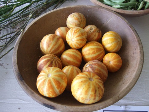 [fair%2520pocket%2520melons%255B2%255D.jpg]