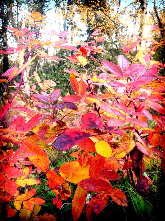 [fall_1%255B5%255D.jpg]