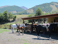 Horseriding at La Usina