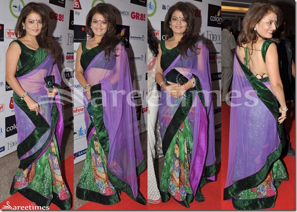 Mahima_Chaudhary_Half_and_Half_Saree