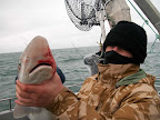 Image136.jpg