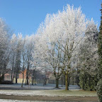 2009 Winterbeelden uit onze campus