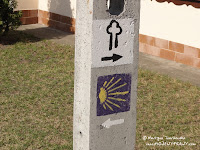dsc07487.jpg