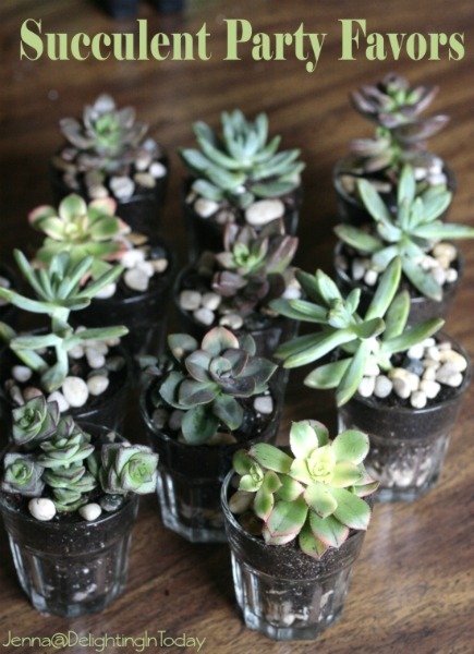 [succulent_party_favor%2520diy%255B4%255D.jpg]