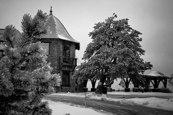 _MG_5314.jpg