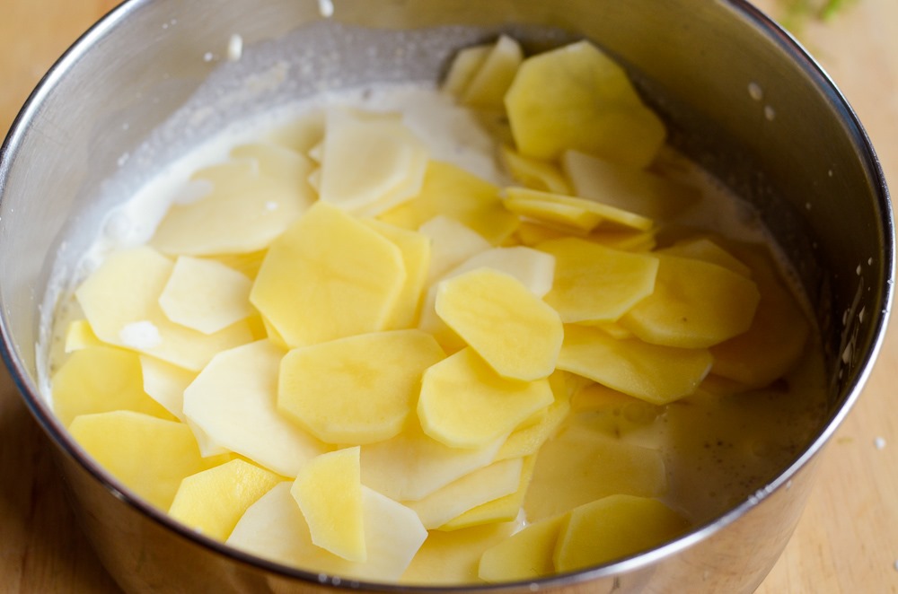 [fennel-scalloped-potatoes-132423.jpg]