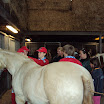DSC01837.JPG