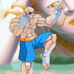 sagat-kneeblock-ufs.jpg