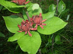 5may08 015.JPG