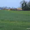 DPP_0012.JPG