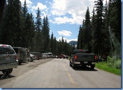 1455 Alberta Akamina Parkway - Waterton Lakes National Park - near end of road we came to this road block